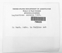 Image Associated With the Occurrence